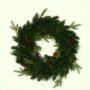 Norfolk Pine Mix Wreath – Warm White/Multi – Battery Op – 24″